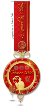 Médaille défi février 2016
