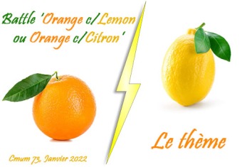 theme orange-citron